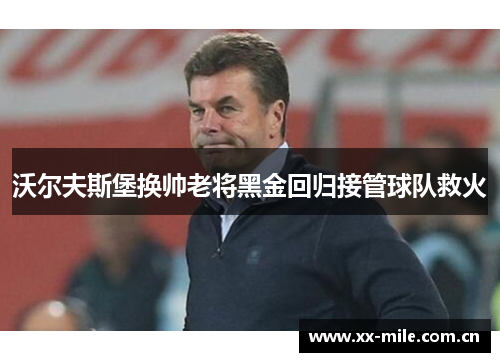 沃尔夫斯堡换帅老将黑金回归接管球队救火